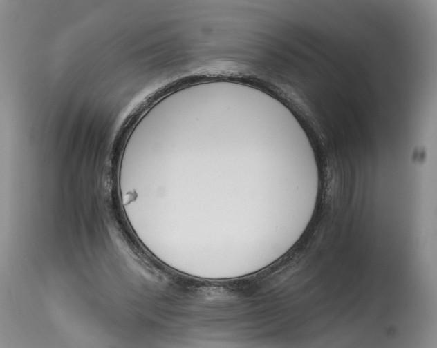 X0000115000392200911161541