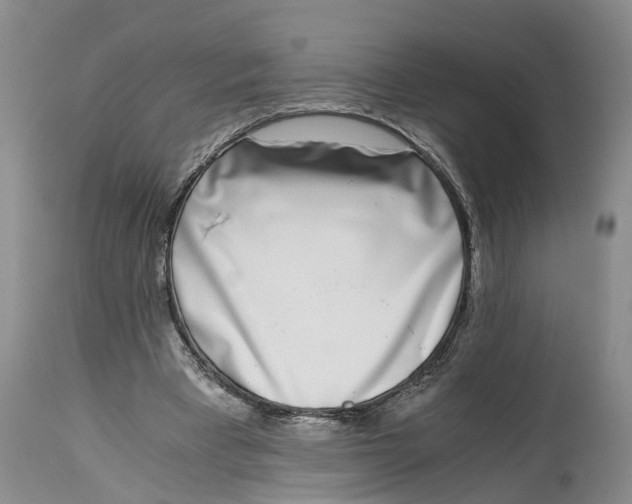 X0000115000393200911161541