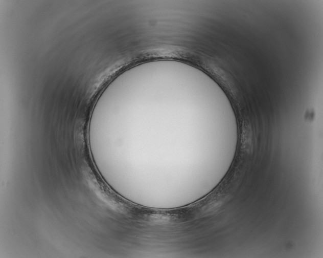 X0000115000394200911161541