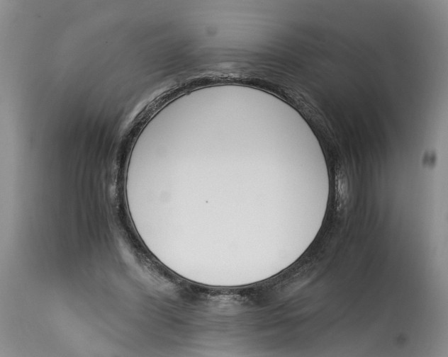 X0000115000396200911161541