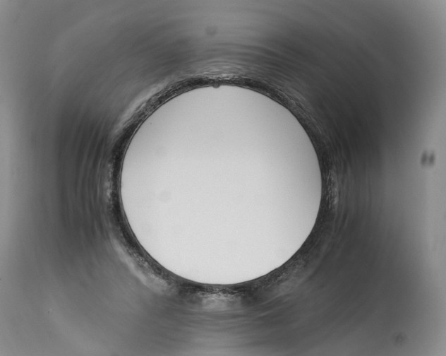 X0000115000400200911161541