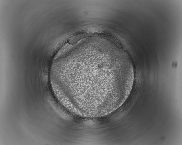 X0000115000402200911161541