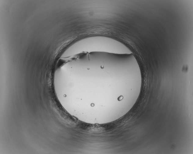 X0000115000403200911161541