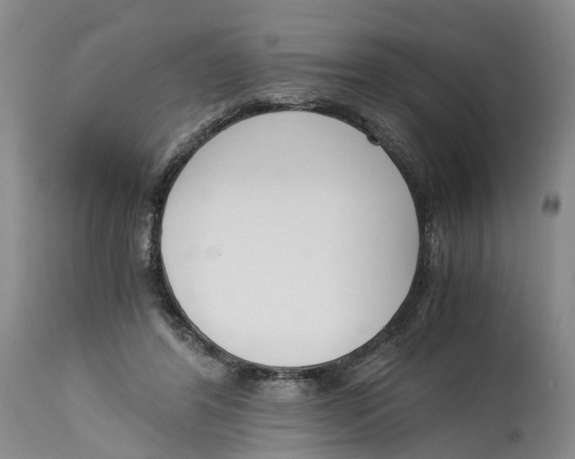 X0000115000404200911161541