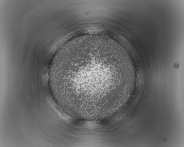 X0000115000405200911161541