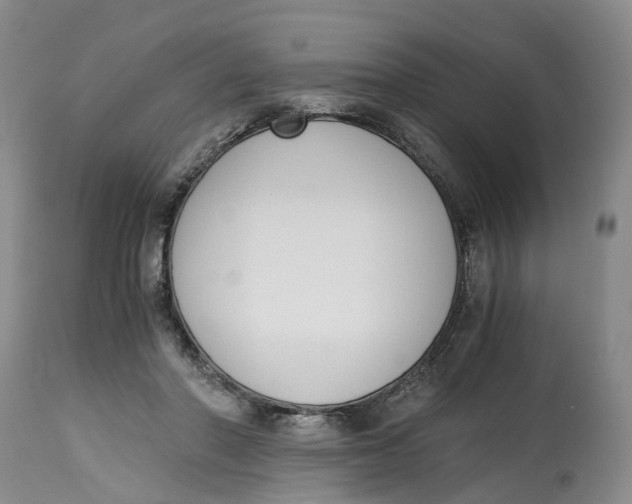 X0000115000406200911161541