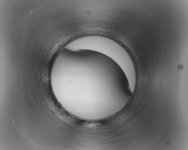 X0000115000407200911161541