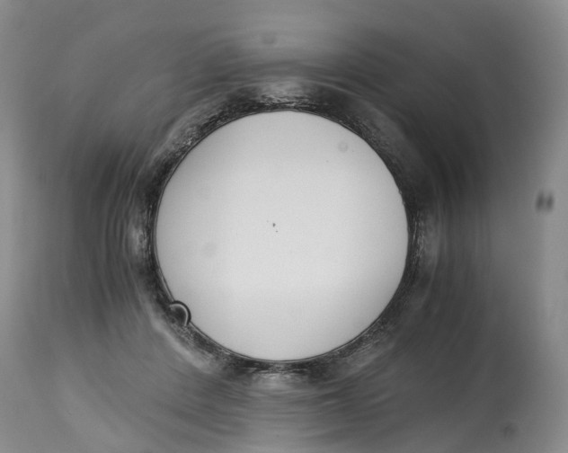 X0000115000408200911161541