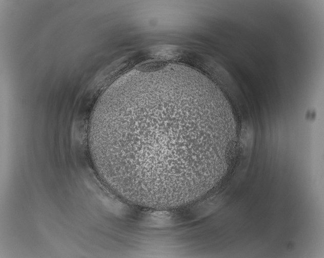 X0000115000409200911161541