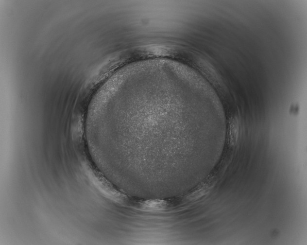 X0000115000410200911161541