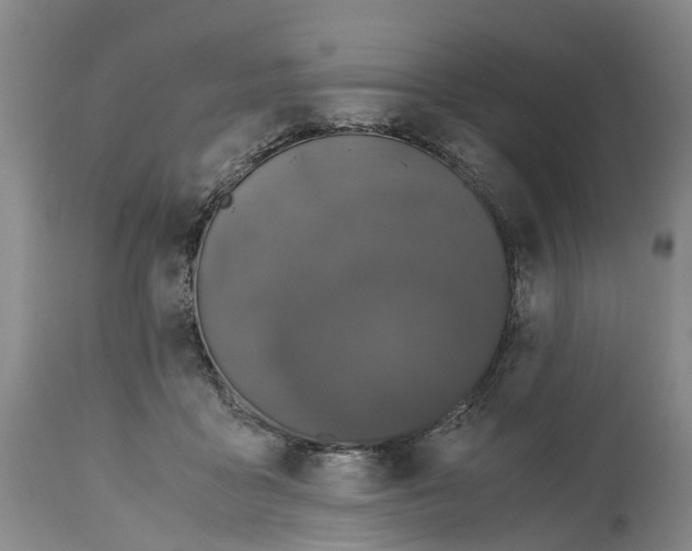 X0000115000411200911161541