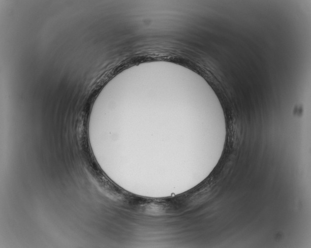 X0000115000412200911161541