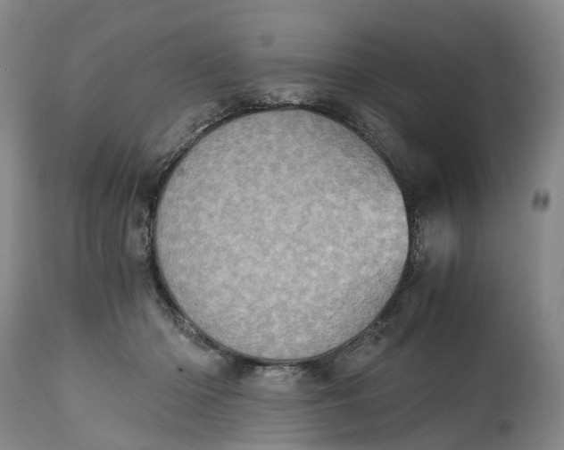 X0000115000414200911161541