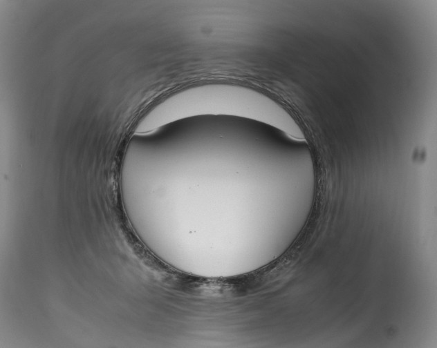 X0000115000415200911161541