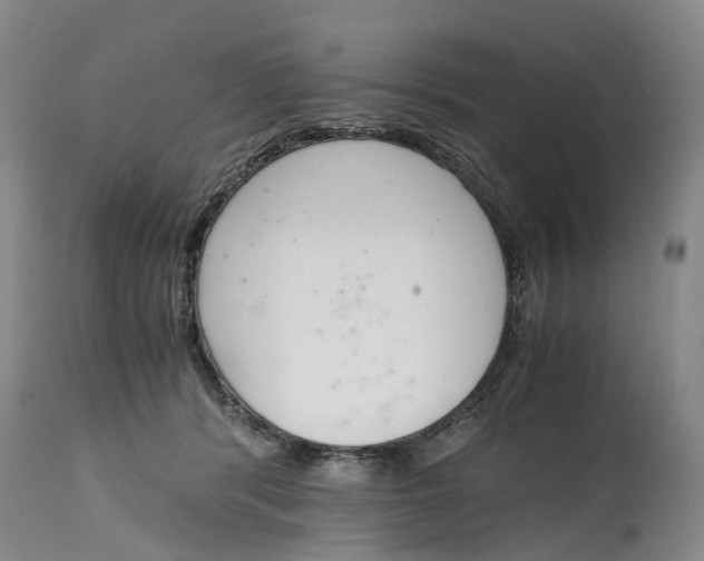 X0000115000416200911161541