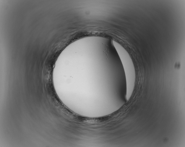 X0000115000417200911161541