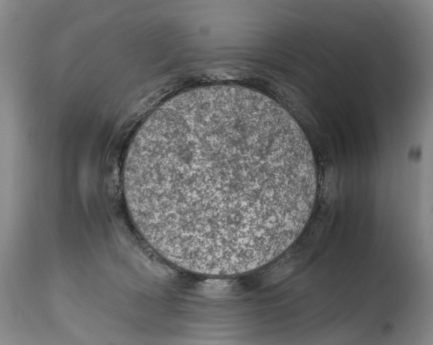 X0000115000418200911161541