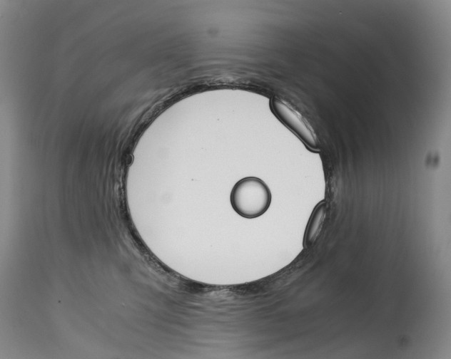 X0000115000423200911161541