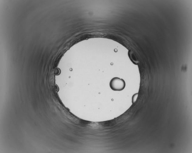 X0000115000425200911161541