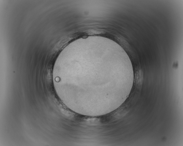 X0000115000426200911161541