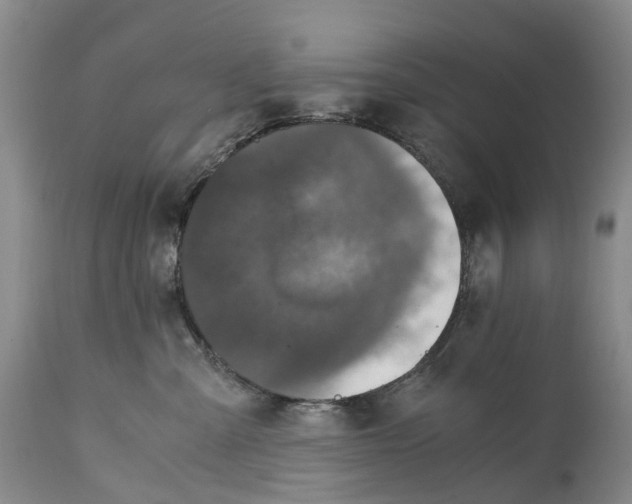 X0000115000427200911161541