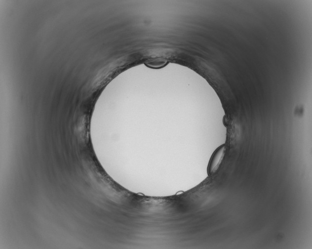 X0000115000428200911161541