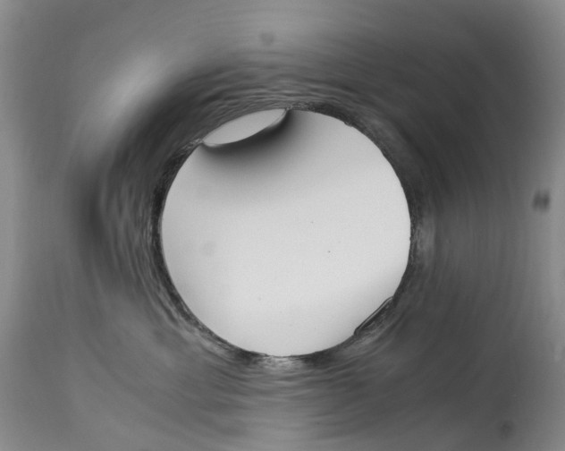 X0000115000429200911161541