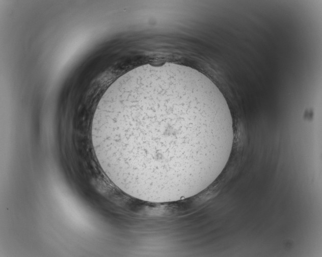 X0000115000430200911161541