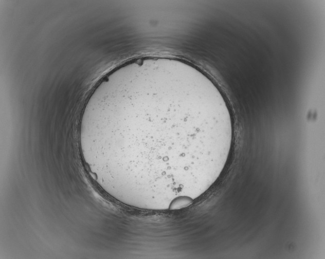 X0000115000433200911161540