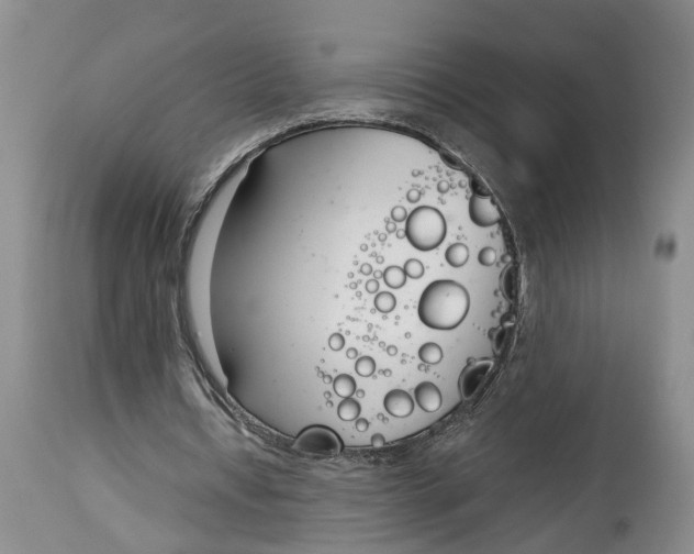 X0000115000434200911161540