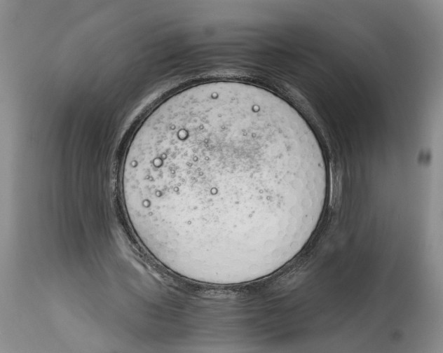 X0000115000435200911161540