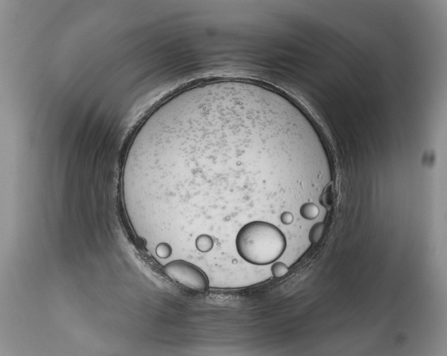 X0000115000437200911161540