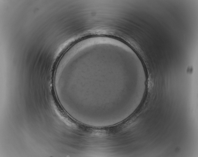 X0000115000438200911161540