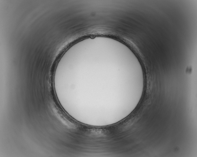 X0000115000439200911161540