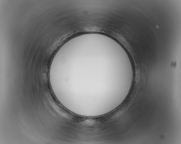 X0000115000441200911161540