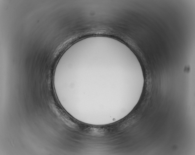 X0000115000442200911161540