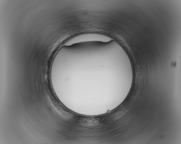 X0000115000443200911161540