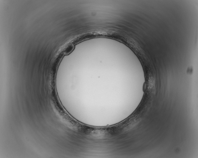 X0000115000444200911161540