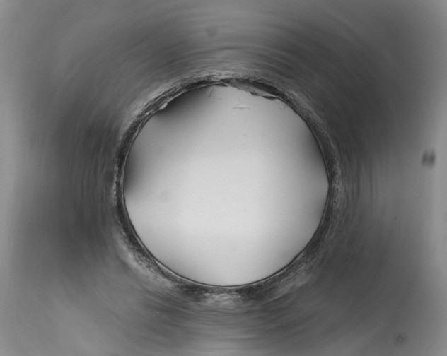 X0000115000446200911161540