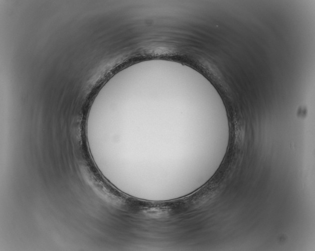 X0000115000447200911161540