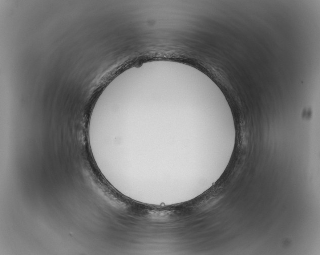 X0000115000450200911161541