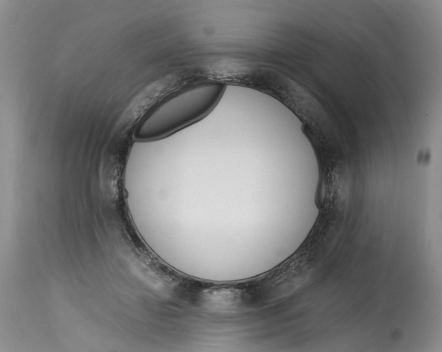 X0000115000452200911161541