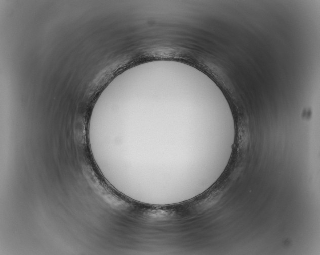 X0000115000453200911161541