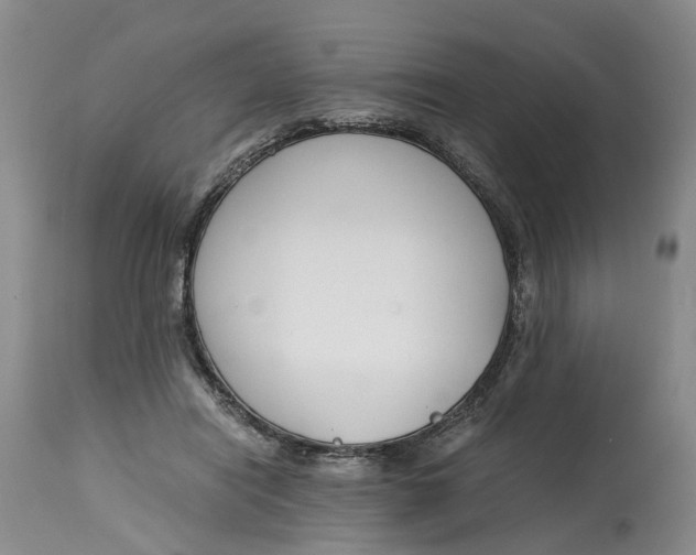 X0000115000454200911161541