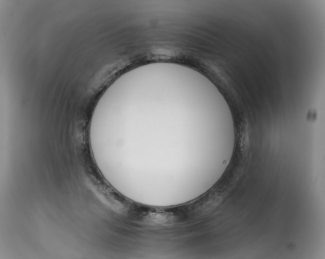 X0000115000455200911161541