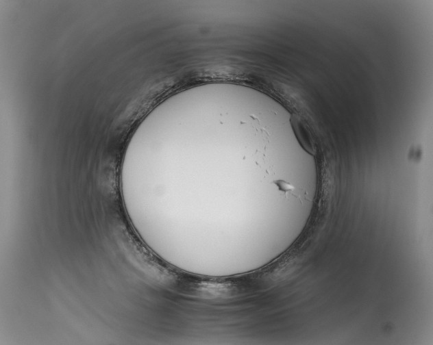 X0000115000457200911161541