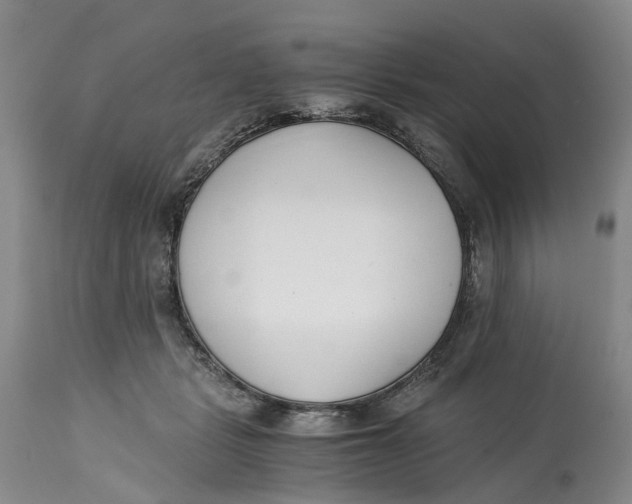 X0000115000461200911161541