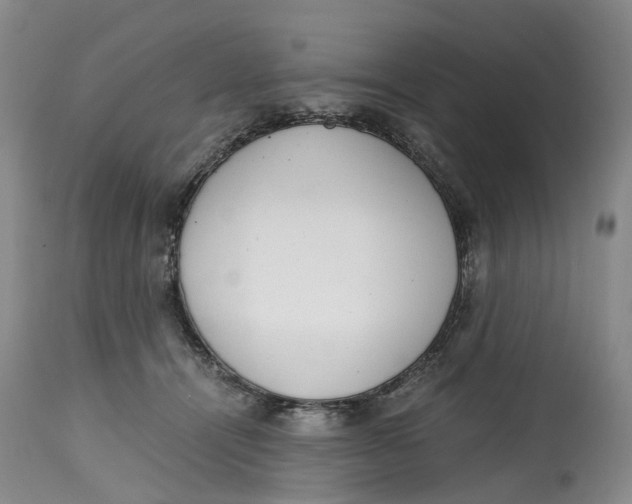 X0000115000464200911161541