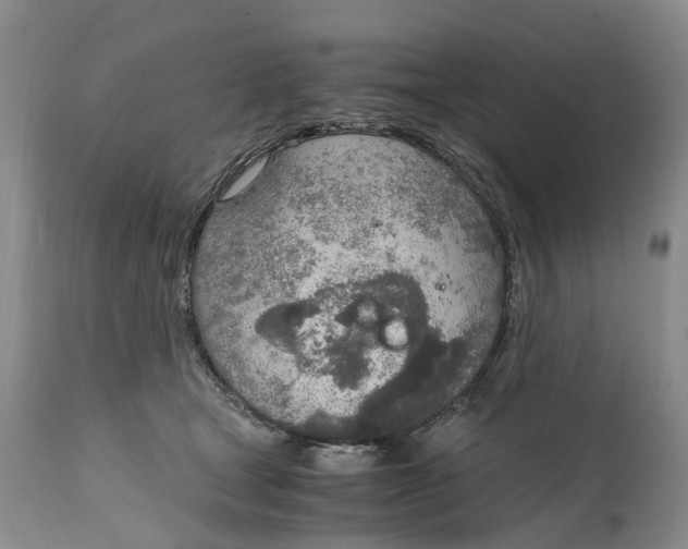 X0000115000465200911161541