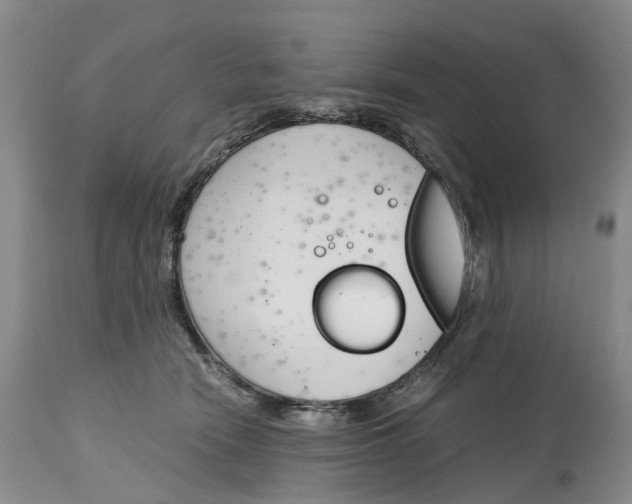 X0000115000466200911161541